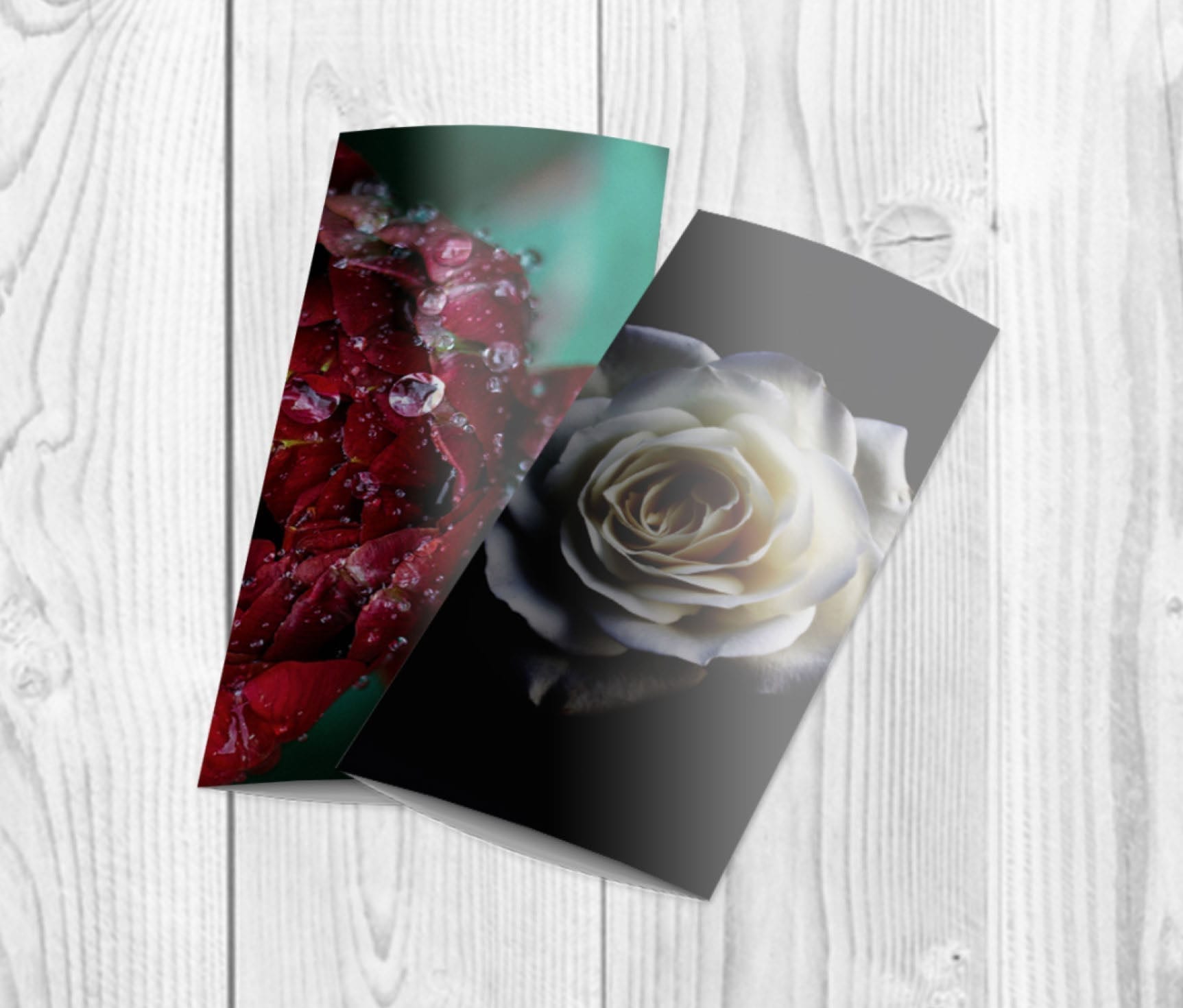 Brochure Sample 6